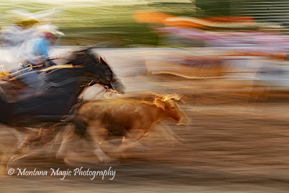 WM104 Steer Wrestler