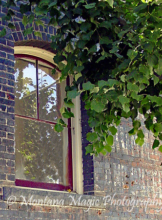 UB104 Shaded Window