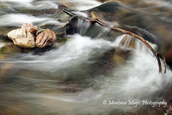 WA102 Rattlesnake Creek