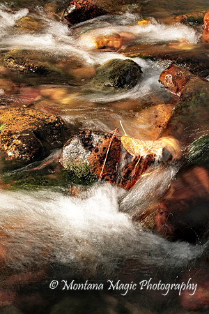 WA106 Rattlesnake Creek