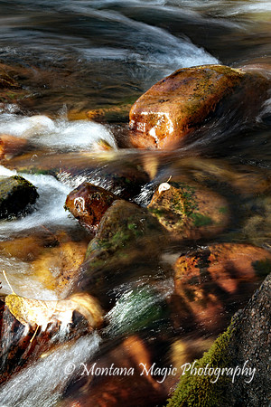 WA107 Rattlesnake Creek