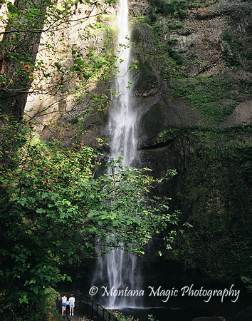 WA108 Multnomah Falls