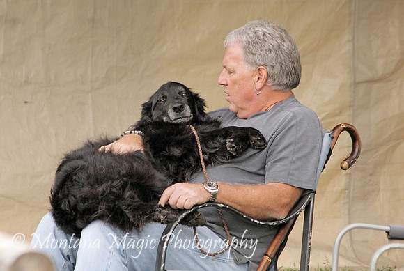 Diesel_9660
