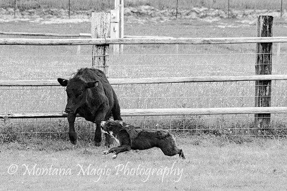 Riddick_9898_BW