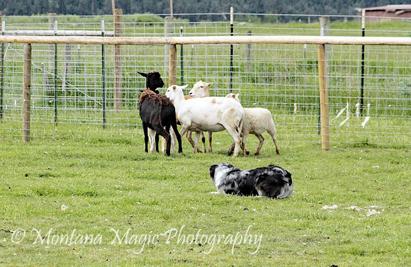Frank_0258