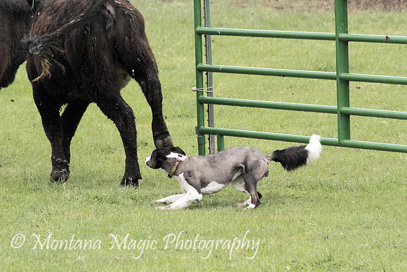 Josie_0070