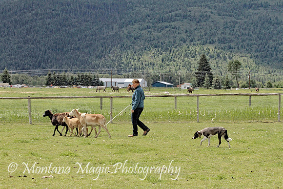 Josie_0288