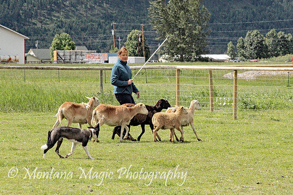 Josie_0296