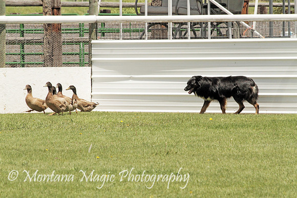Rhett_0447