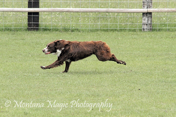 Riddick_0081