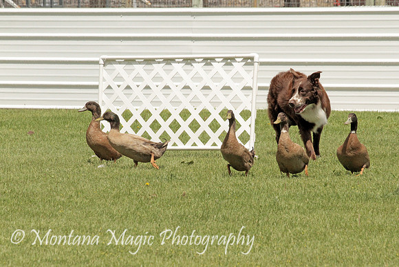 Riddick_0602
