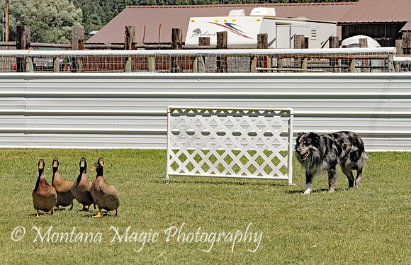 Chill_3766