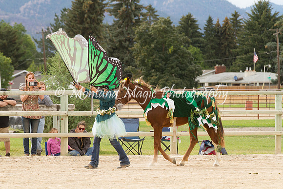 Entry #11_6725