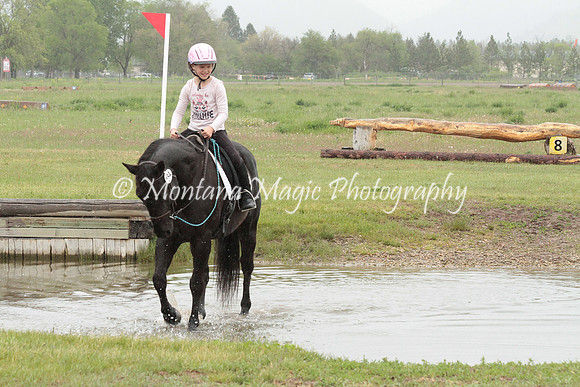 Air Horse One_2961