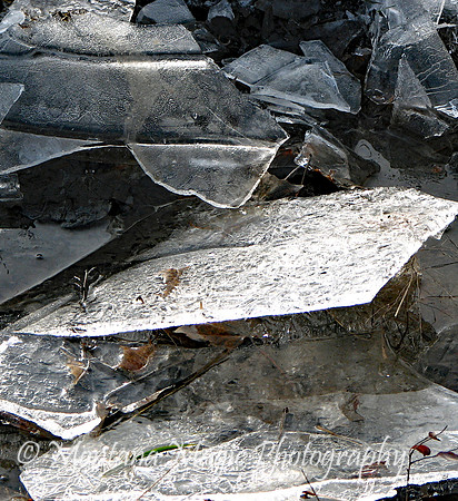 SW115 Ice Sculpture