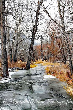 SW116 Winter Creek