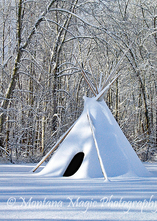 SW119 Winter Lodge