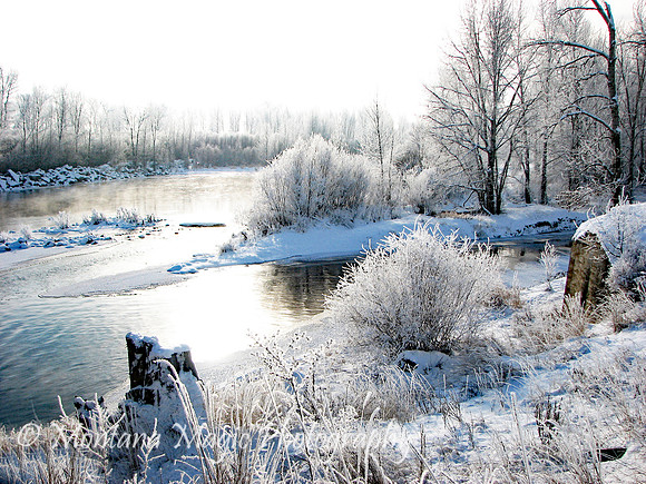 SW110 Winter Wonderland