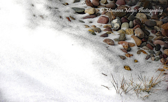 SW111 Rocks in Snow
