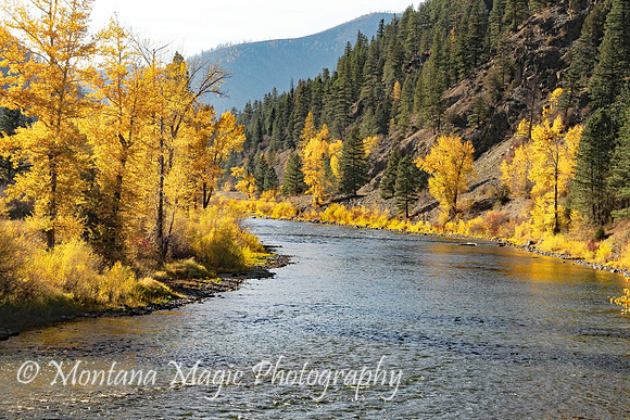 SA112 Autumn on the Blackfoot