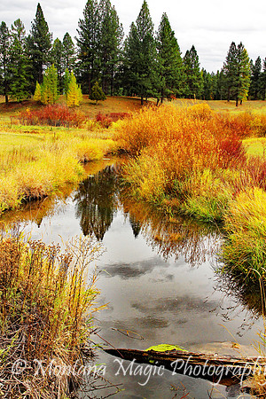 SA113 Autumn on Bear Creek