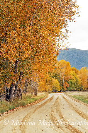 SA107 Dirt Road