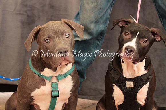 Ezekial & Diamond_0357