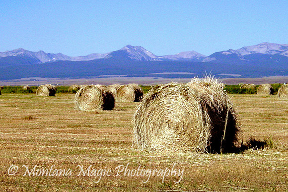 SC105 Big Hole Valley Hay Bales