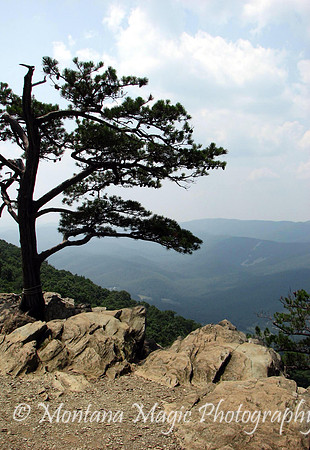 SC108 Blue Ridge Mountains
