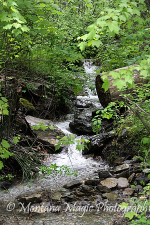 SC122 Waterfall