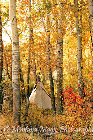 SC102 Autumn Tipi