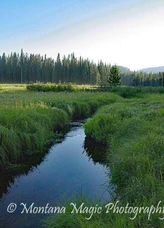 SC114 Glade Creek