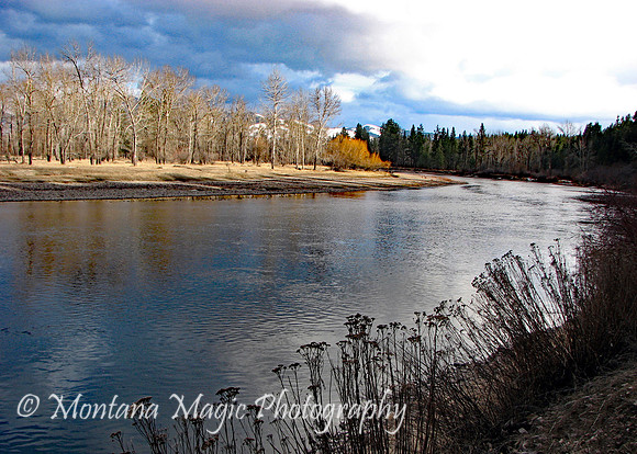SC125 Between Winter & Spring