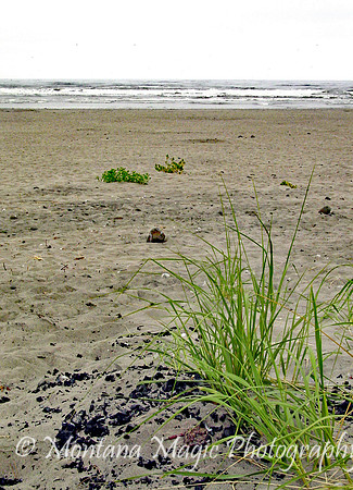 SC126 Pacific Beach