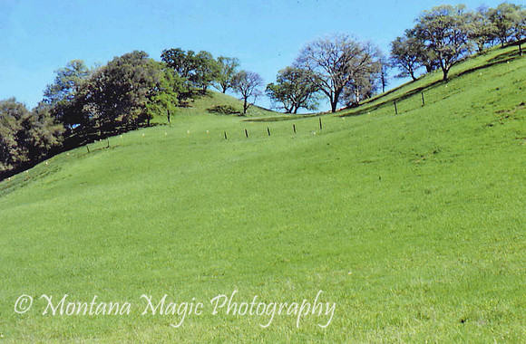 SC128 Rolling Hills