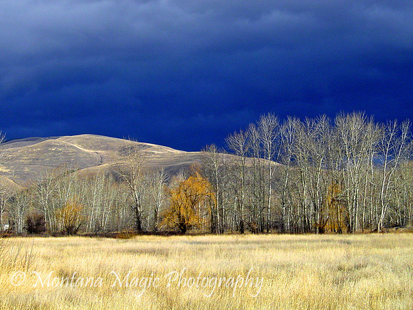 SC130 Stormy Sapphires