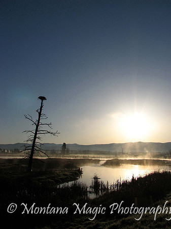 SC131 Sunrise on the Marsh