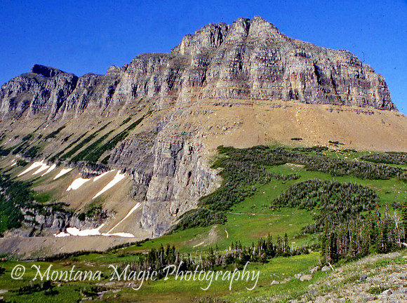SC132 The Garden Wall_GNP