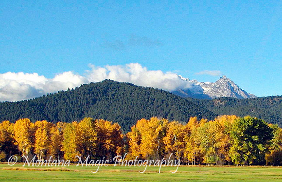 SC135 Trapper Peak