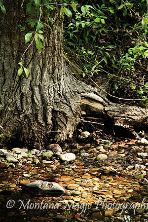 SC139 Hidden Glen