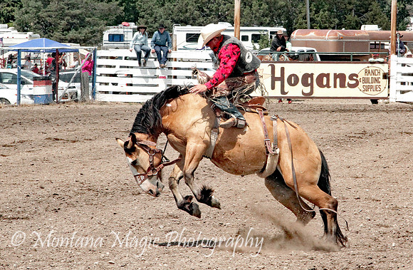 IMG_8689