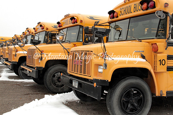PTA105 School Busses