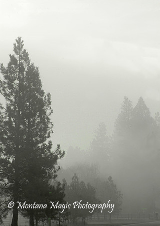 WTH101 Fog