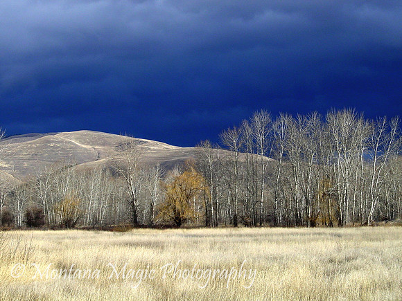 SP102 Stormy Sapphires