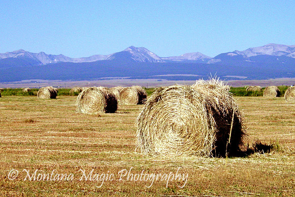 SSU Big Hole Valley Hay Bales
