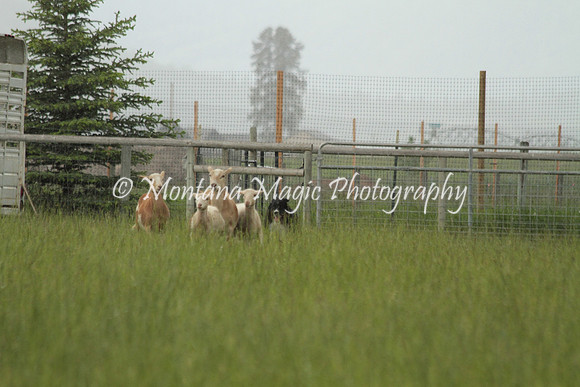Cash_5219