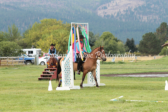 Honeybee_1142