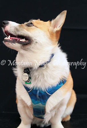 Cosmo_0385