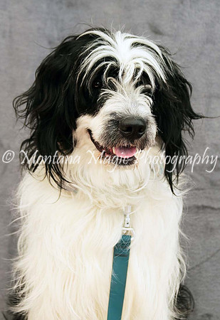 Tucker_0440