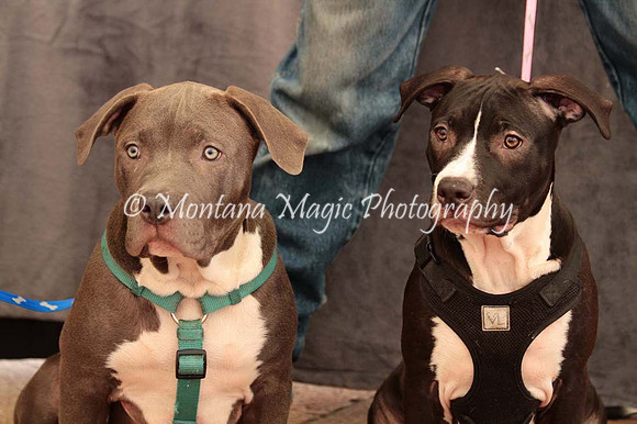 Ezekial & Diamond_0361